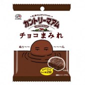 FUJIYA - Country Ma'Am Mini Chocolate Cookie 48g