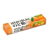 NOBEL - Honey Kumquat Stick Candy 10pcs